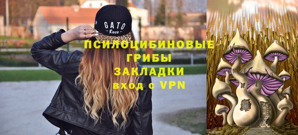 соль ск Алзамай