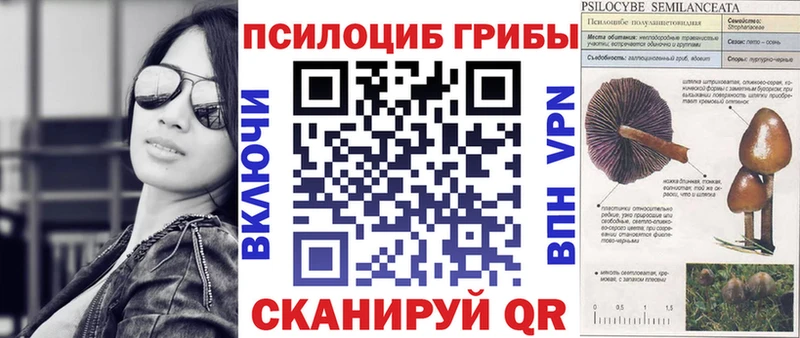 купить закладку  Заполярный  Галлюциногенные грибы MAGIC MUSHROOMS 